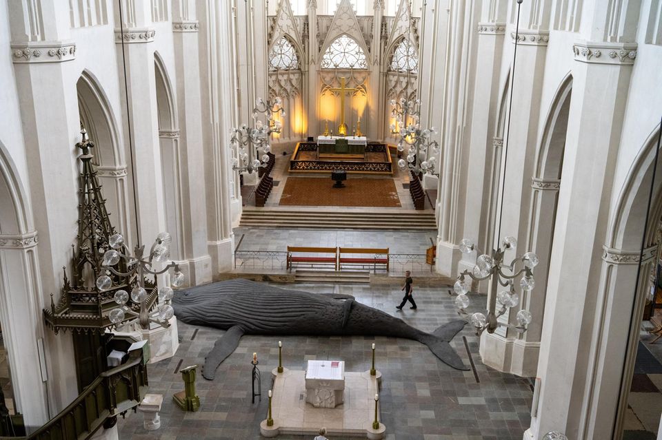 14 Meter langen Wal-Skulptur im Dom St. Nikolai