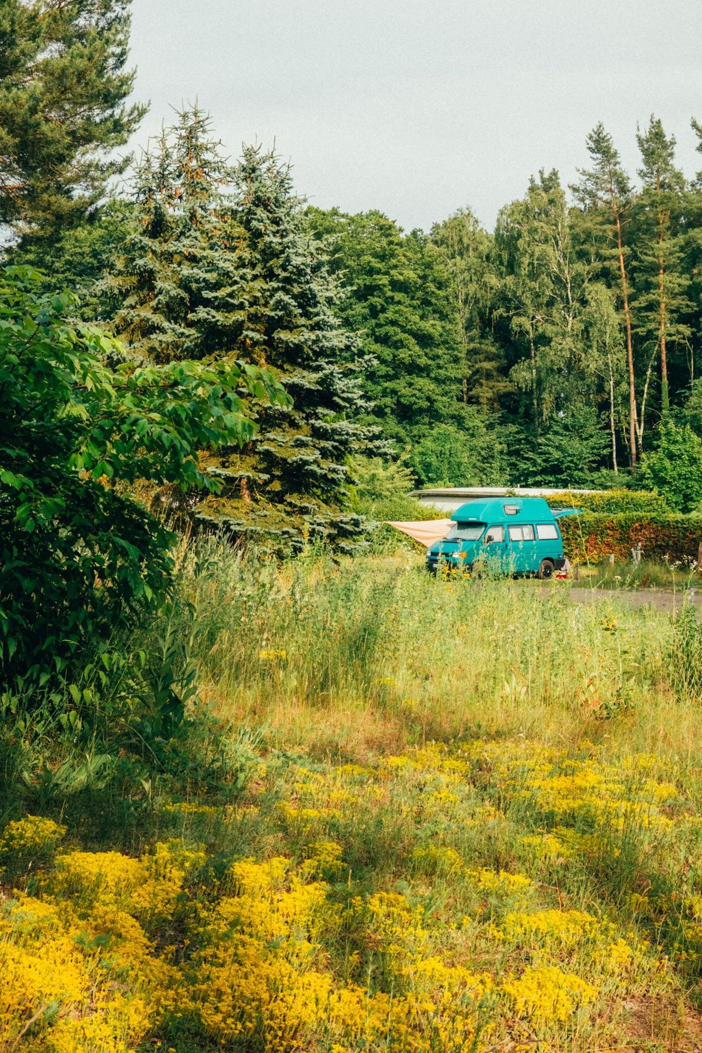 Nur Wald, Wiesen und der smaragdgrün glitzernde Wurlsee: Im Naturcampingpark Rehberge schmiegen sich Zelte, Wohnwagen und Tiny Houses in die wild wachsende Umgebung. An Lychens tiefstem Klarwassersee wartet ein kleines Paradies auf alle, die entspannt ein paar Nächte im Wald campen wollen. Damit es so beschaulich bleibt, sind Gruppenbuchungen auf vier Erwachsene plus Kinder beschränkt. Die Wege zum Sandstrand sind kurz, ob von der Zeltwiese mit Picknickbänken am Ufer oder von den Stellplätzen. In der schattigen Eiszeitschlucht warten Spielplatz, Fußballfeld und Tischtennisplatten. Nach der letzten Schwimmrunde sitzt man in der Dämmerung auf der Bank am Strand — und mit etwas Glück fliegt ein Eisvogel vorbei.