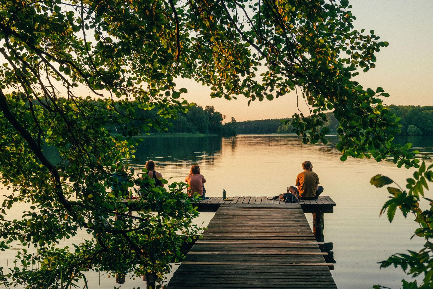 Spätnachmittags im Sommer scheint der Naturcampingplatz am Ellbogensee förmlich zu leuchten: Dann fällt die tief stehende Sonne zwischen den Kiefern hindurch und taucht Sandstrand und Steg in goldenes Licht. Zelte, Campervans, Finnhütten und kleine Holzhäuser dienen hier als sommerliche Unterkünfte. Tagsüber versorgt ein kleiner Hofladen mit Café die Gäste mit Kaffee und Gebackenem, im Seminarhaus und draußen stehen Kurse wie Yoga und Pflanzendruck auf dem Programm. Besonders Familien schlagen hier gerne ihr Lager auf, spazieren über die Wege, buddeln im Sand, platschen von der Minirutsche ins Wasser, spielen Tischkicker und rösten abends Stockbrot am Lagerfeuer. Weil der Ellbogensee direkt an der Grenze zwischen Mecklenburg-Vorpommern und Brandenburg liegt, kann man von Großmenow aus in beide Richtungen weiterschweifen – nach Norden in die Mecklenburgische Seenplatte oder nach Süden zur Nordbucht des glasklaren Stechlinsees.