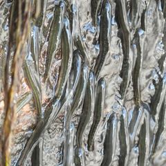 Zu Tausenden "kleben" die Fische am Ende der Regenzeit am senkrecht abfallenden Felsen des Luvilombo-Wasserfalls