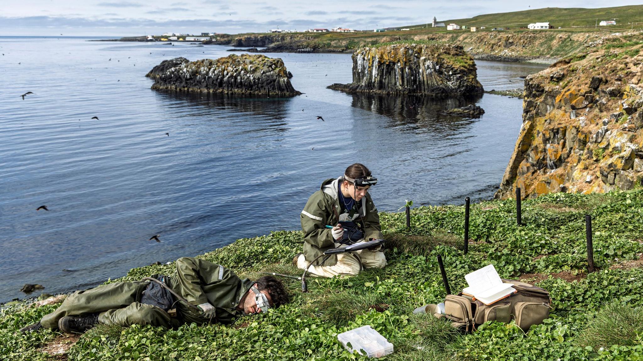Forschende auf einer Wiese