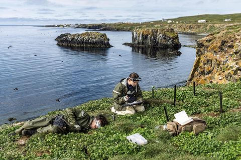 Forschende auf einer Wiese
