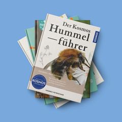 Buchtipps Naturführer