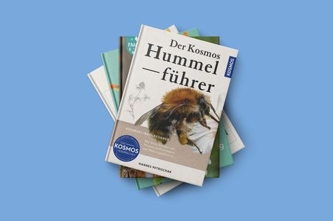 Buchtipps Naturführer