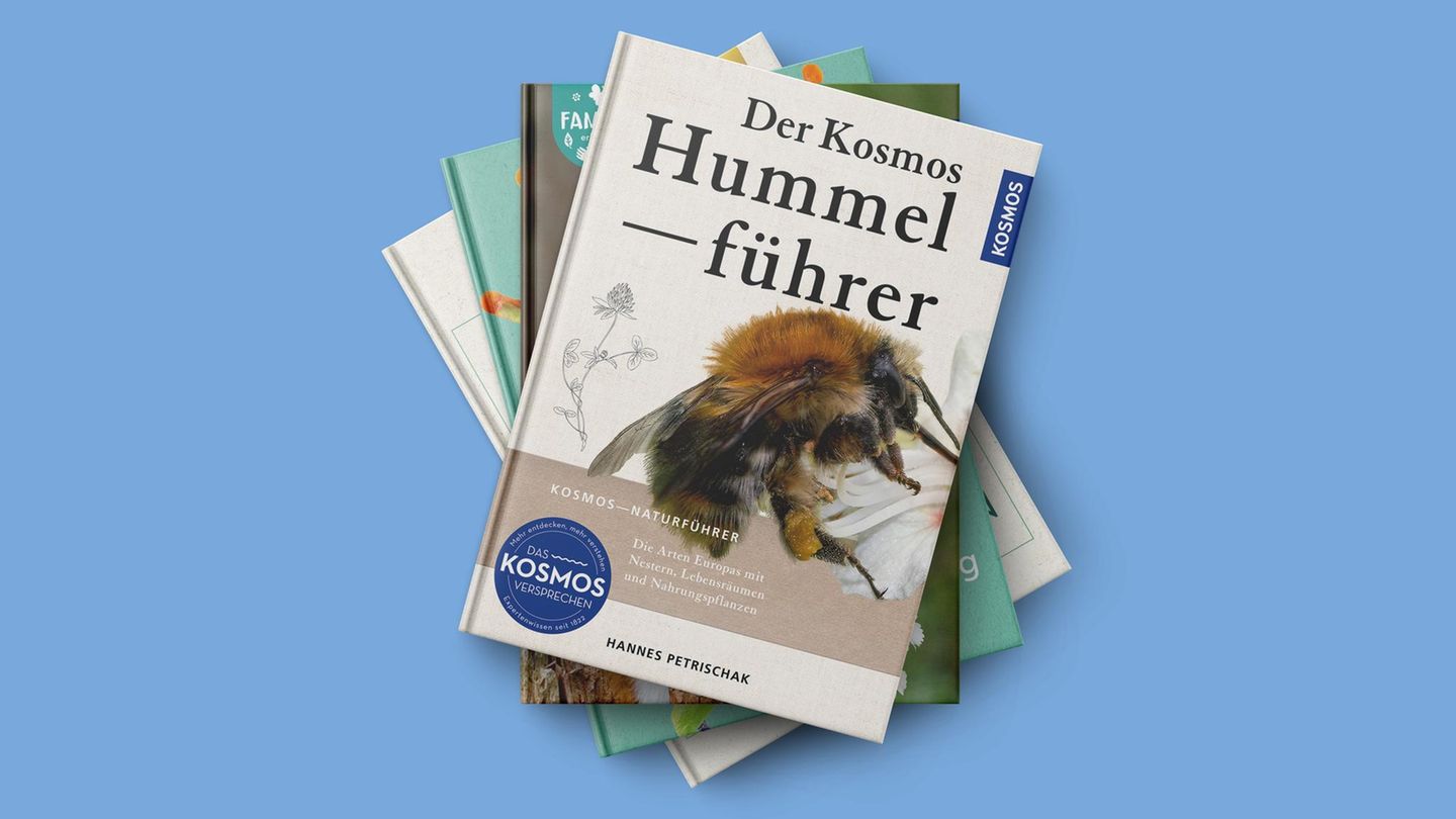 Buchtipps Naturführer