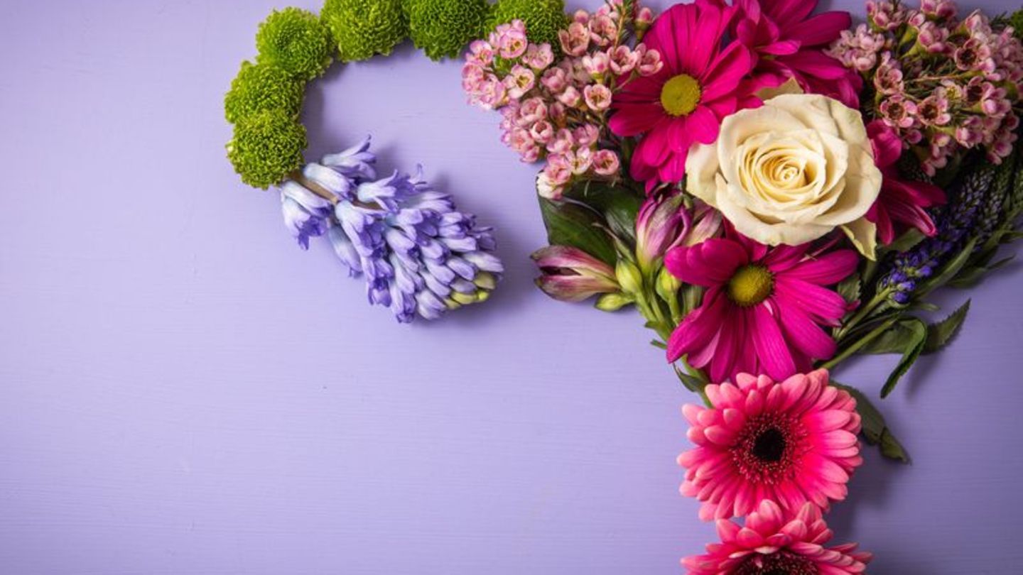 Bei einem PCO-Syndrom bleibt der Eisprung aufgrund eines hormonellen Ungleichgewichts aus. Foto: Christin Klose/dpa-tmn