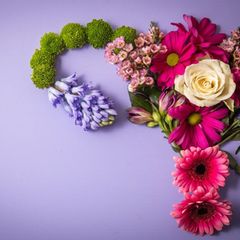 Bei einem PCO-Syndrom bleibt der Eisprung aufgrund eines hormonellen Ungleichgewichts aus. Foto: Christin Klose/dpa-tmn