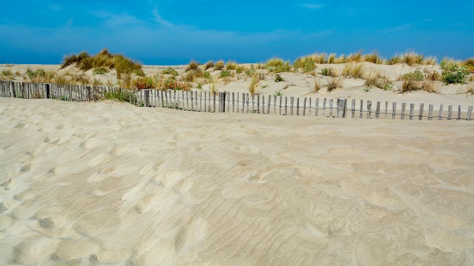 Der Plage de l’Espiguette eignet sich perfekt für Strandurlaub in Südfrankreich, denn hier gibt es zehn Kilometer feinsten Sandstrand