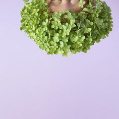 Das Konzept der Serendipität spielt eher Extrovertierten in die Karten. Doch mit etwas Vorbereitung und Übung können auch introvertiertere Menschen positive Zufälle herbeiführen