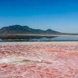Rosafarbener Natronsee in Tansania