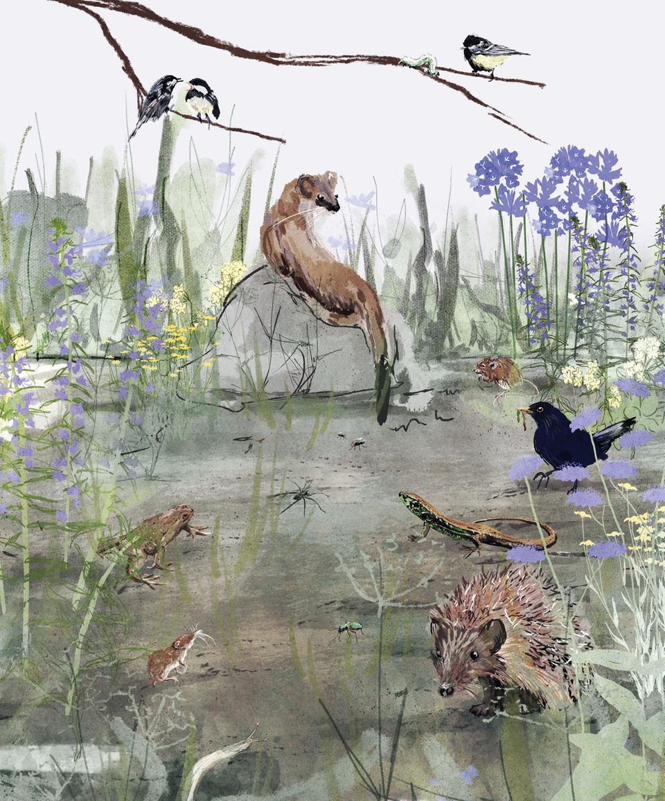 buntes Treiben von wilden Tieren im Garten