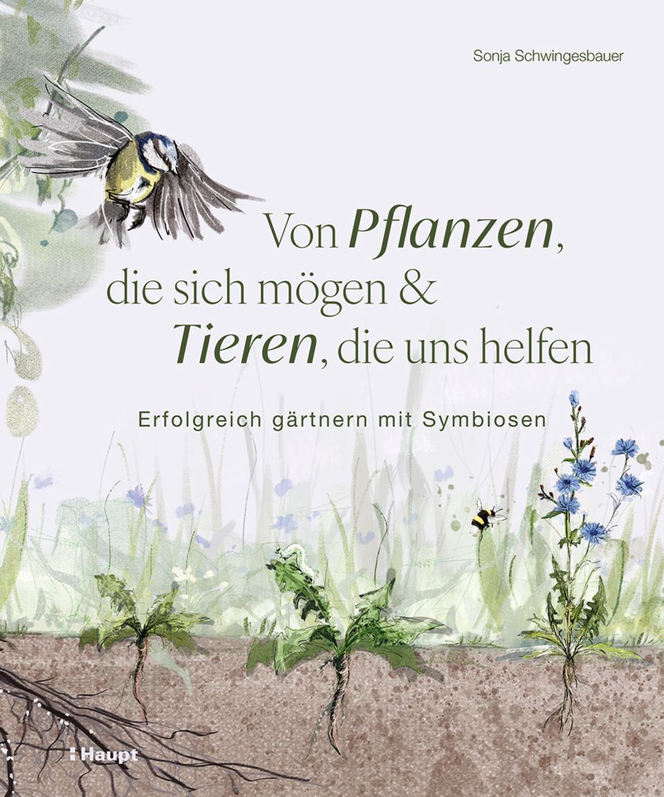 Buchcover von "Von Pflanzen, die sich mögen & Tieren, die uns helfen."