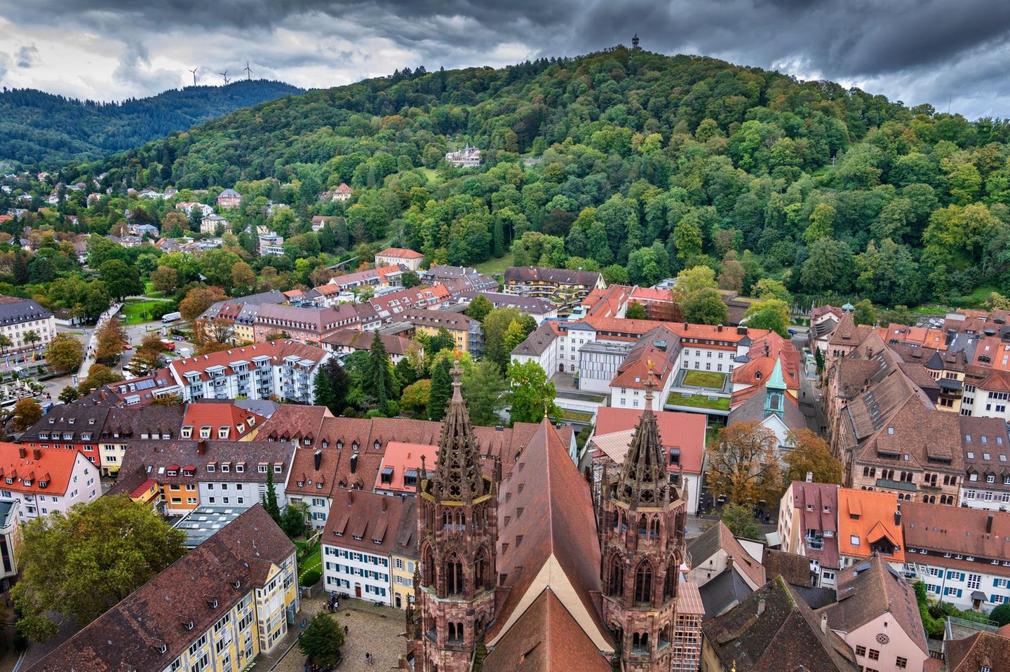 Man mag es heute kaum glauben: Als Freiburg im Breisgau 1120 gegründet wurde, war für Grün kein Platz. Der knappe Raum gehörte Häusern, Straßen und Plätzen. Erst Anfang des 19. Jahrhunderts wuchs die Stadt über ihre Grenzen hinaus, schuf Raum für Parks und wurde immer grüner. Die ältesten Parks wie der Stadtgarten liegen deshalb am Rand der Altstadt, teilweise auf den hügeligen Überresten der alten Befestigungsanlagen. 