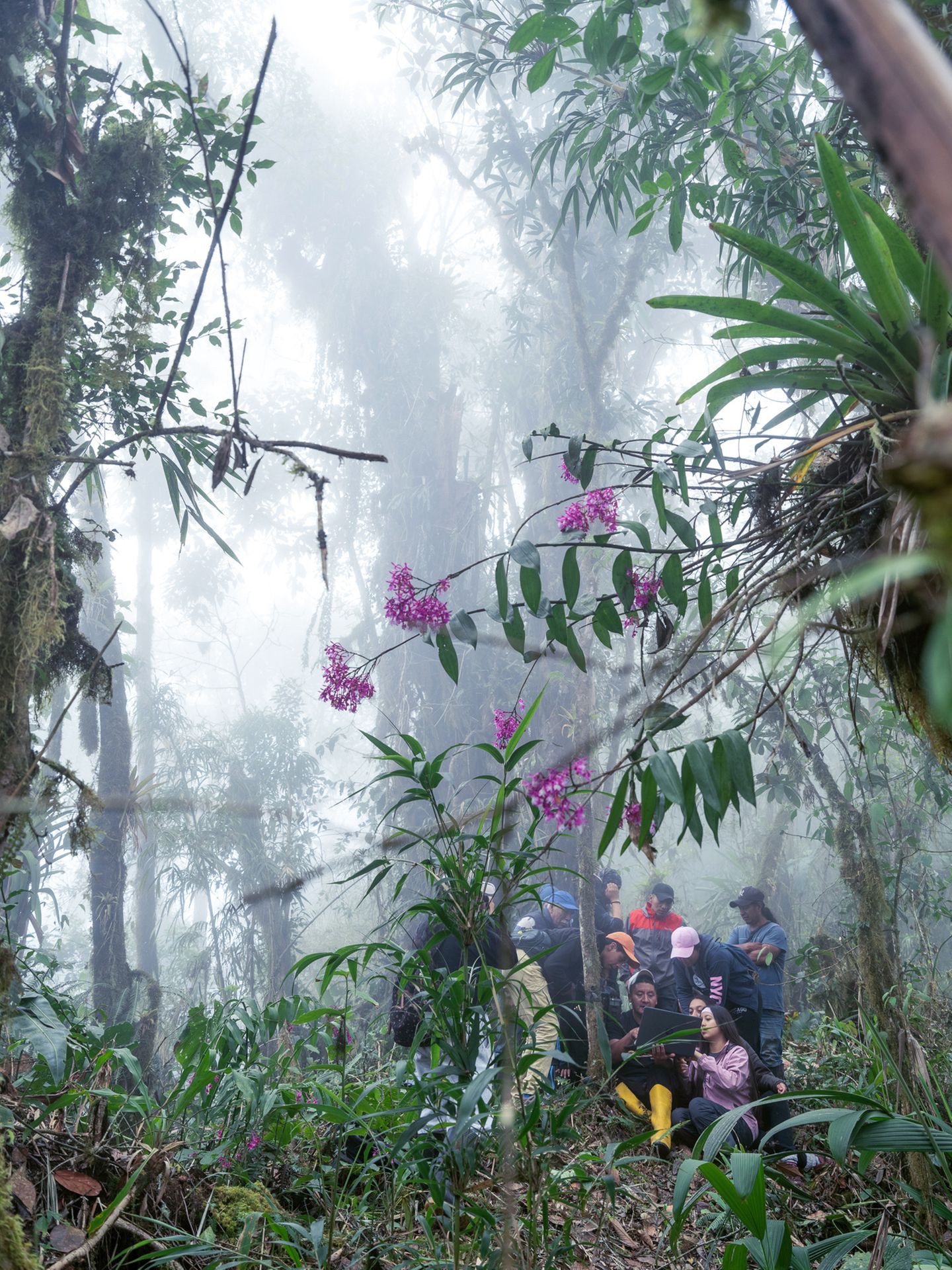 Wälder sind mehr als Natur: Seit jeher sind sie kulturelle Räume, geprägt von Menschen und anderen Lebewesen. Die Fotoserie "Notes on How to Build a Forest", entstanden in Ecuadors Regionen Mache Chindul und Yunguilla, erzählt davon in vielschichtigen Bildern. Dokumentarische und experimentelle Verfahren – von Infrarot- und Lochkamera bis zu mit Pilzen bearbeiteten Archiven – eröffnen darin neue Perspektiven auf den Wald.     Isadora Romero, Sieg in der Kategorie "Umwelt"