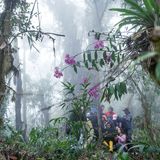 Wälder sind mehr als Natur: Seit jeher sind sie kulturelle Räume, geprägt von Menschen und anderen Lebewesen. Die Fotoserie "Notes on How to Build a Forest", entstanden in Ecuadors Regionen Mache Chindul und Yunguilla, erzählt davon in vielschichtigen Bildern. Dokumentarische und experimentelle Verfahren – von Infrarot- und Lochkamera bis zu mit Pilzen bearbeiteten Archiven – eröffnen darin neue Perspektiven auf den Wald.     Isadora Romero, Sieg in der Kategorie "Umwelt"