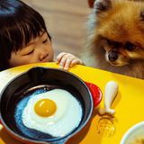 Südkorea steht am Scheideweg: 2023 fiel die Geburtenrate auf 0,72 Kinder pro Frau, während Millionen Haushalte ihr Familienglück stattdessen in einem Hund finden. Und manchmal teilen sich Hund und Kind eben das Scheinwerferlicht – und das Frühstücksei. Die Fotoserie "Sunny Side Up" porträtiert die neue Familienkultur in Korea mit leisem Humor.     Seungho Kim, Sieg in der Kategorie "Perspektiven"