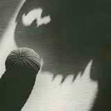 Seeigel und Schatten einer Krebsschere