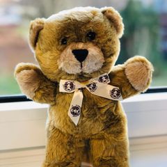 Trösterbär der Deutschen Teddystiftung