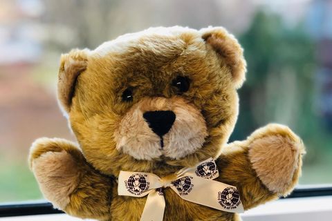 Trösterbär der Deutschen Teddystiftung