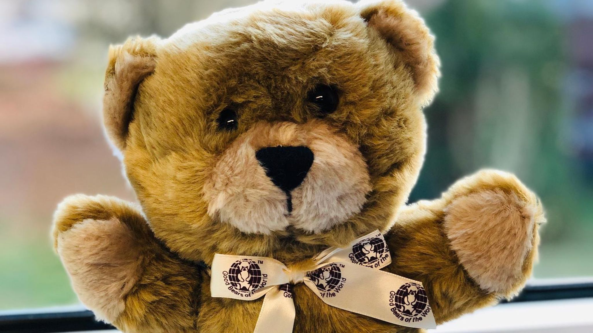 Trösterbär der Deutschen Teddystiftung
