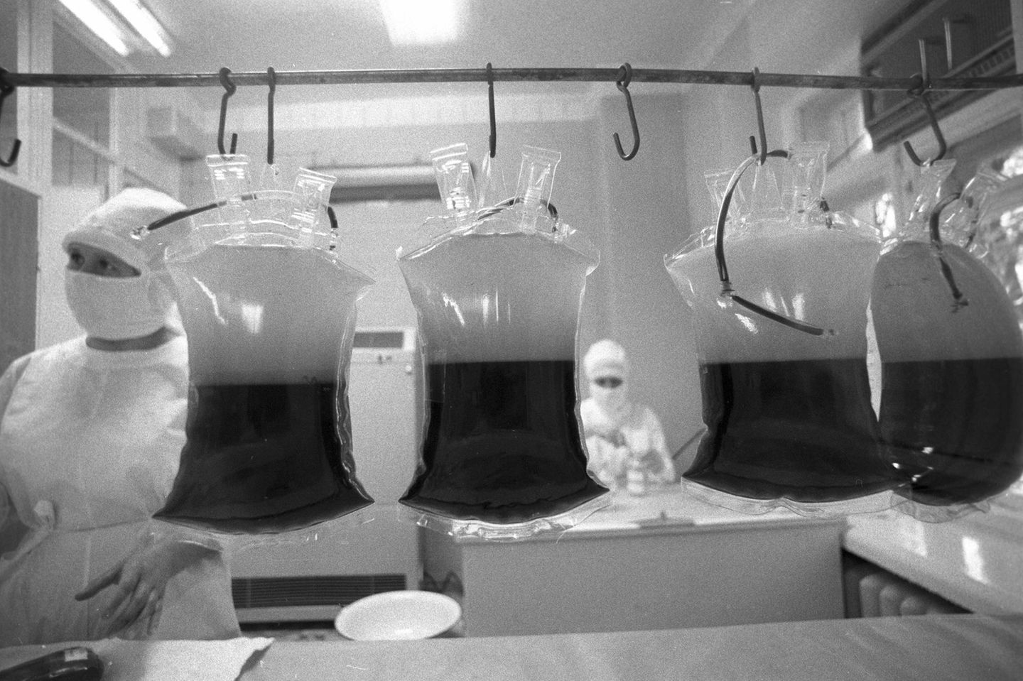 Beutel mit Thrombozytenkonzentrat in einem Moskauer Krankenhaus