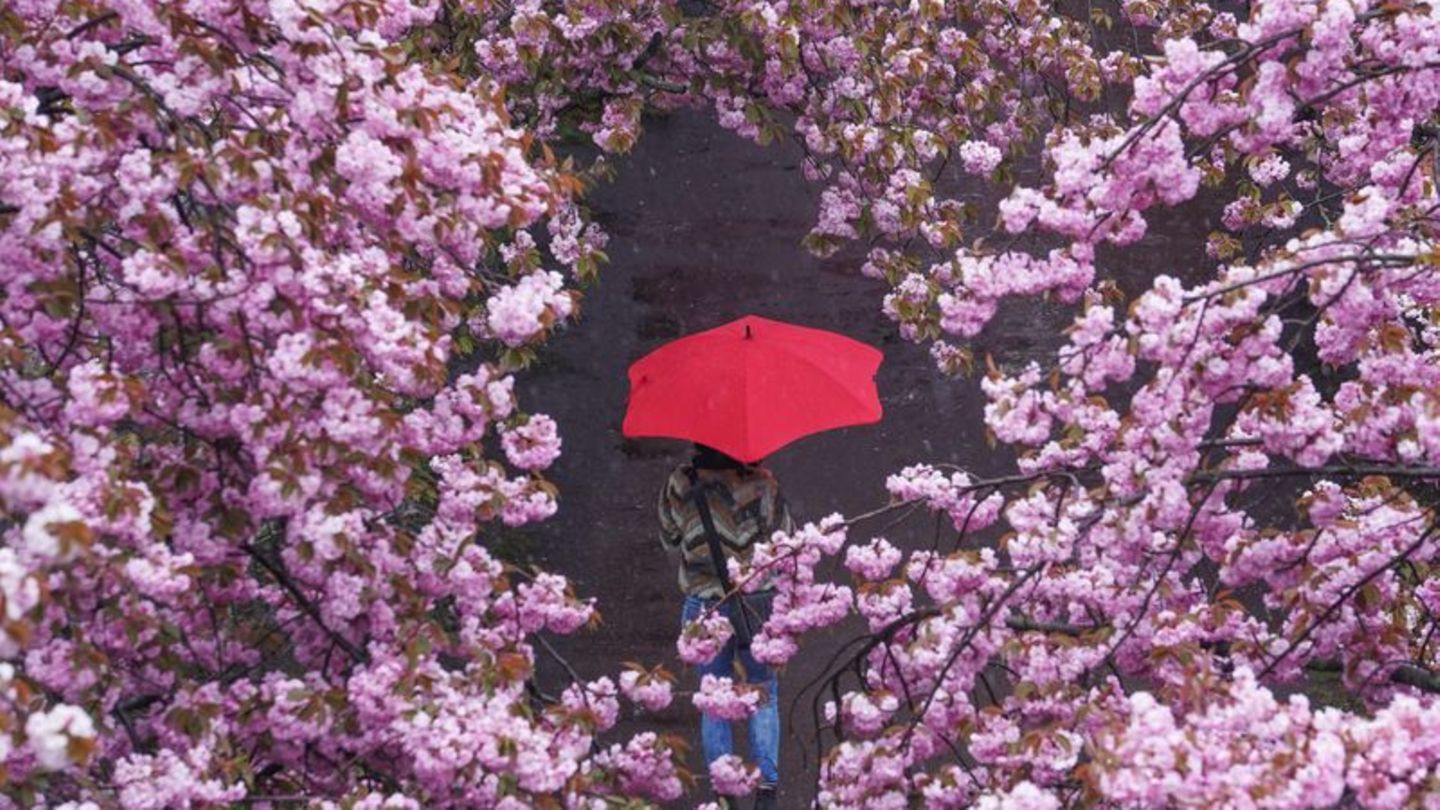 Aktiv werden, damit die Stimmung besser wird: Auch wenn das mit einer Depression nicht immer einfach ist - Bewegung an der frisc