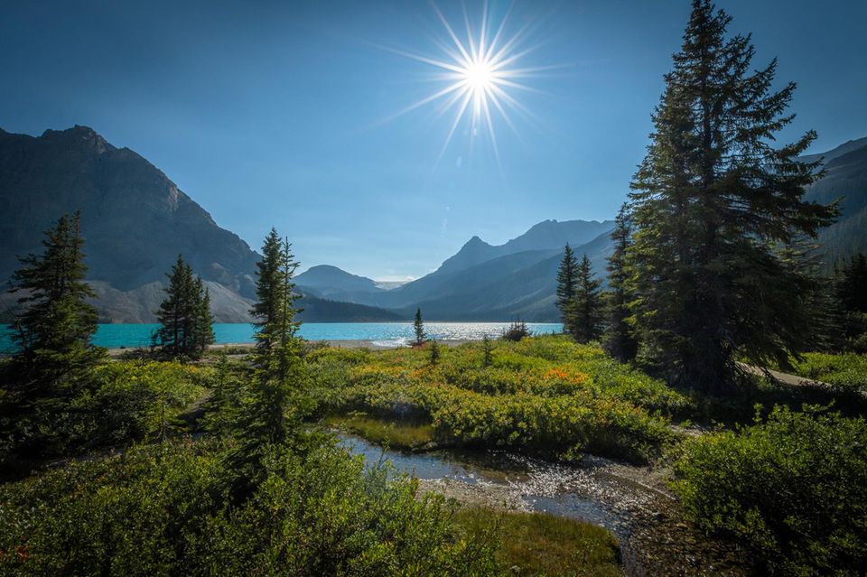 Bow Lake, Banff National Park