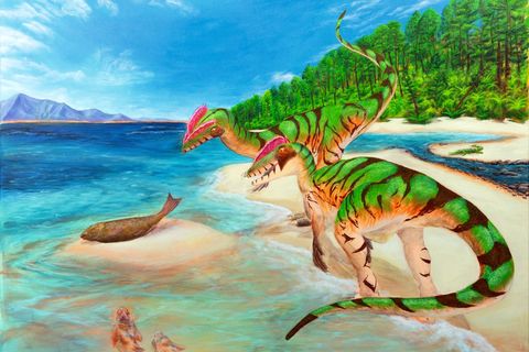 Lebendrekonstruktion des Raubsauriers Lophostropheus