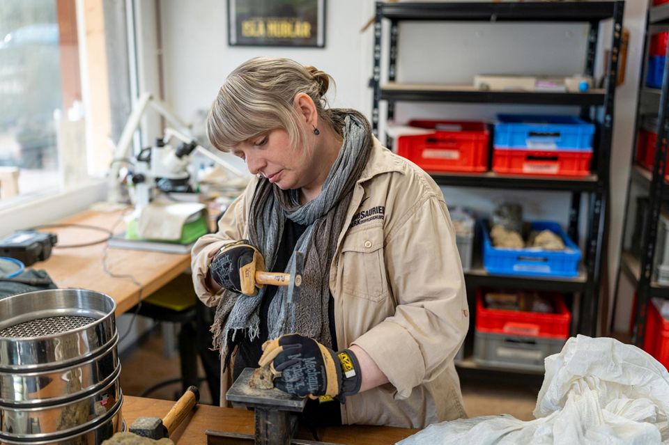 Die Paläontologin Lea Numberger-Thuy bei der Präparation der Raubsaurier-Funde im PaleoLab