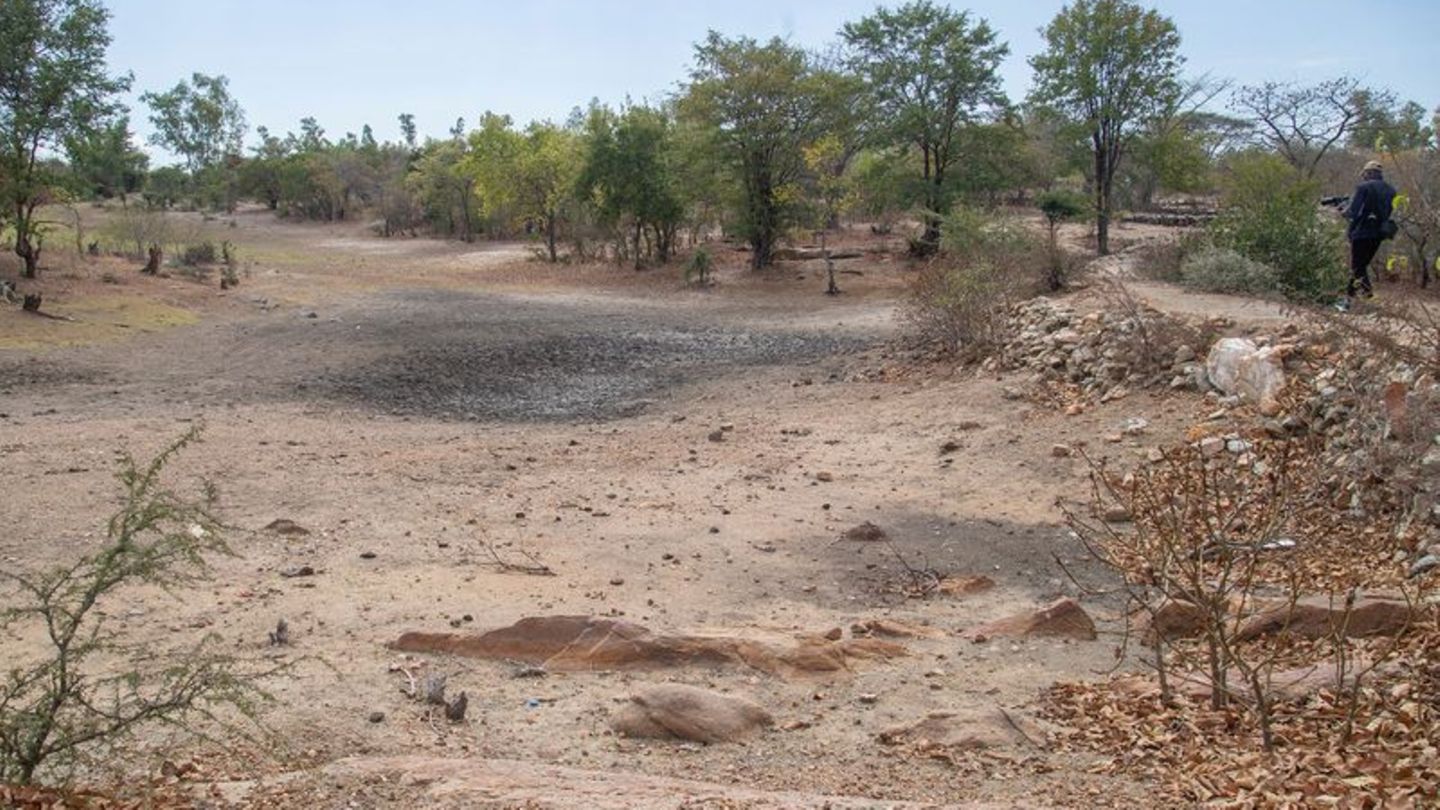 El Nino bringt Dürren in manchen Weltregionen (Archivbild) Foto: Aaron Ufumeli/AP