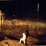 Ein Mann in Schutzkleidung wird in einem Reaktorraum angestrahlt