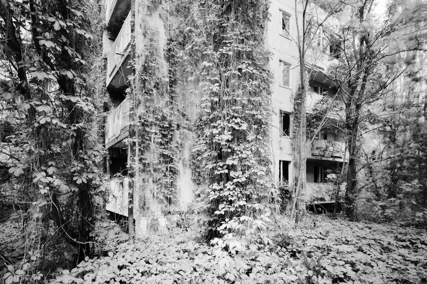 Sperrzone von Tschernobyl, Pripyat, 2016