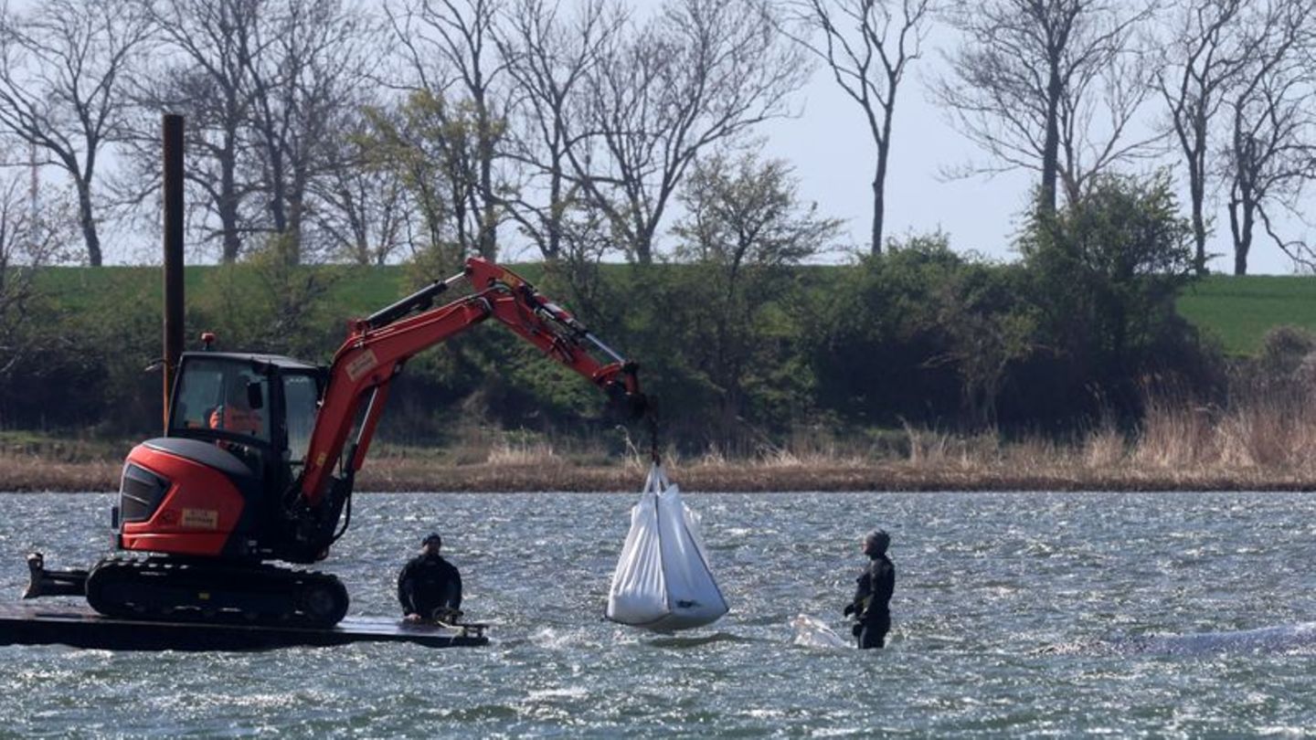 Das neue Konzept der Privatinitiative wird geduldet. Foto: Bernd Wüstneck/dpa