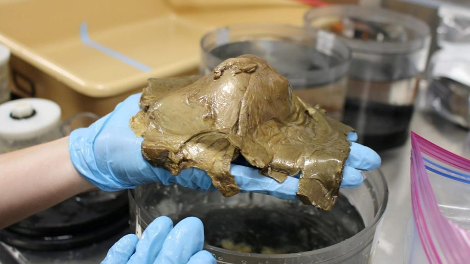 Alaska: Forschende lösen Rätsel um mysteriöse Goldkugel in der Tiefsee