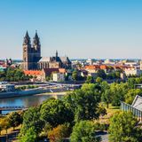 Jede Menge Grün in Magdeburg