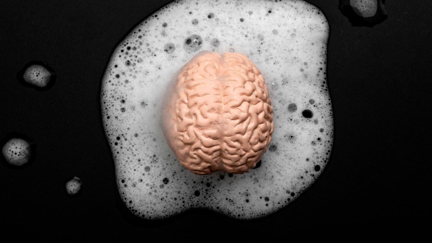 Jede Nacht nimmt unser Körper eine buchstäbliche Hirnwäsche vor, die unser Denkorgan von schädlichen Abfallprodukten des Stoffwechsels befreit