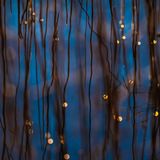 Wasserwelt: Schilf und tanzende Sonnenpunkte spiegeln sich in den blauen Fluten des Starnberger Sees.     Beate Oswald, Siegerin in der Kategorie "Atelier Natur"           