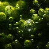 Manchmal schlummern die besten Fotomotive just vor der Haustür: Keine fremde Galaxie mit gallertartigen Planeten, sondern eine Makroaufnahme von Luftblasen in Algen gelang Caroline Walter hier. Entdeckt hatte sie das "Miniversum" in einem kleinen Bächlein auf einer Feuchtwiese.     Dritter Platz in der Kategorie "Pflanzen und Pilze"            