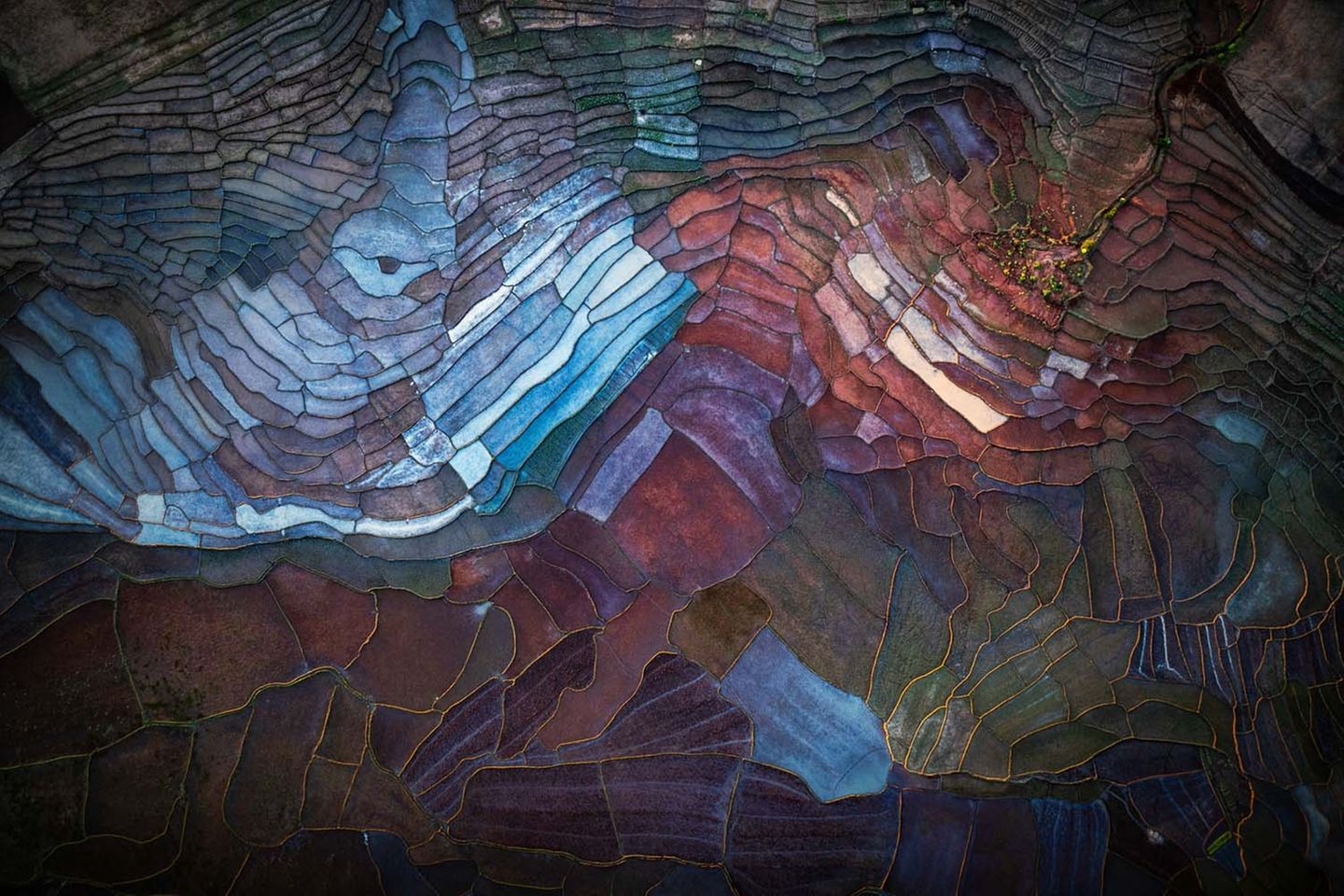 Wie auf Leinwand gemalt: Die ersten Sonnenstrahlen des Tages lassen die Reisfelder in Madagaskar in einer unglaublichen Farbenpracht erstrahlen.      Uwe Hasubek, 3. Platz in der Kategorie "Landschaften"        