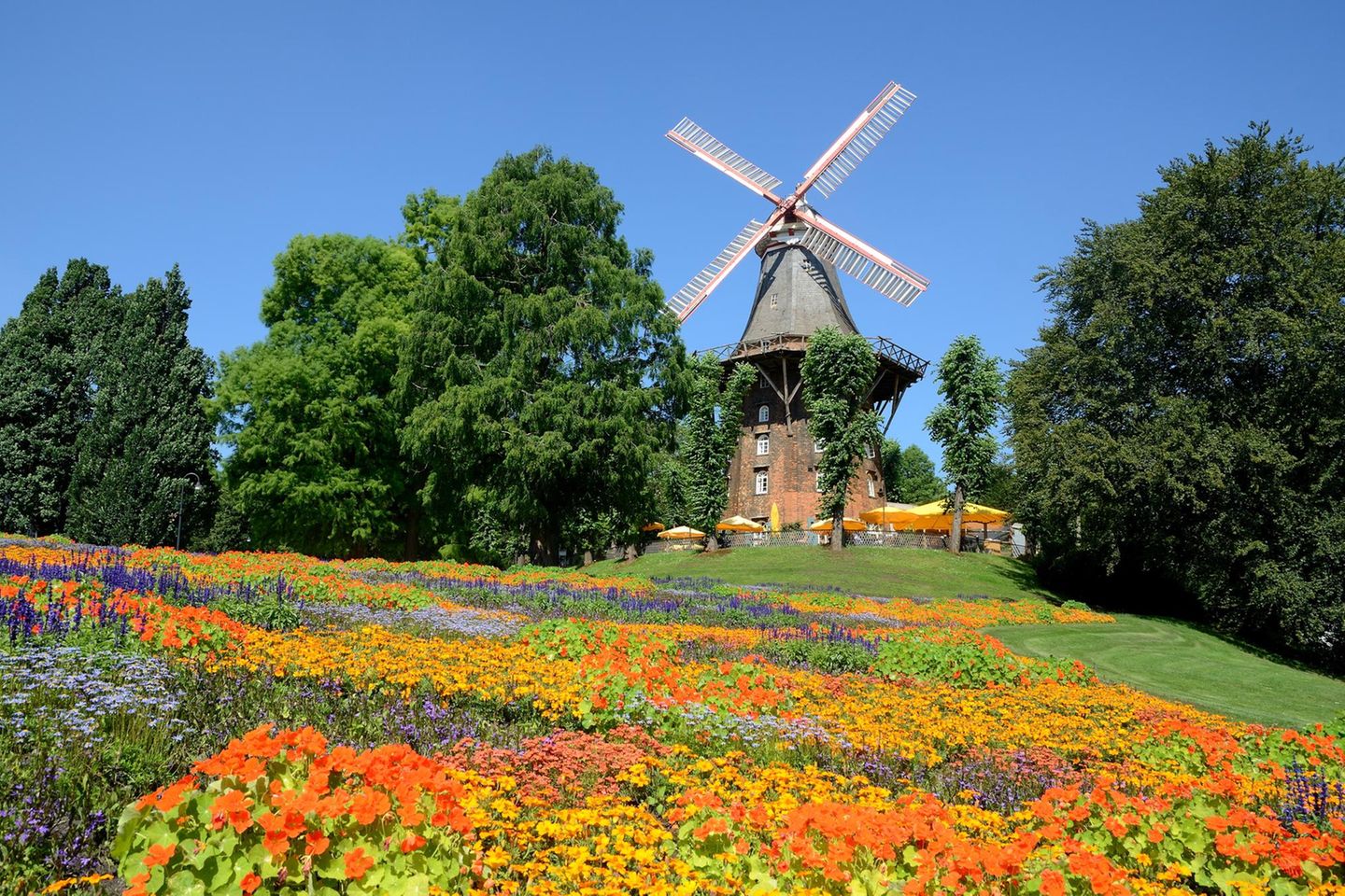 Wo sich einst Belagerer und wehrhafte Bremer gegenüberstanden, gibt es heute Kaffee und Kuchen, Sonnenschein und Blumenduft. Vor Jahrhunderten schützten die zickzackförmigen Wallanlagen die Stadt noch vor Angreifern. Doch 1802 beschloss Bremen, die ehemalige Befestigung mit Stadtgraben in eine idyllische Parkanlage zu verwandeln. Ikonisch ist die historische Mühle am Wall, im Sommer umgeben von Blumen. Sie ist heute ein beliebter Treffpunkt, um typische Bremer Speisen wie Labskaus und Knipp zu genießen.