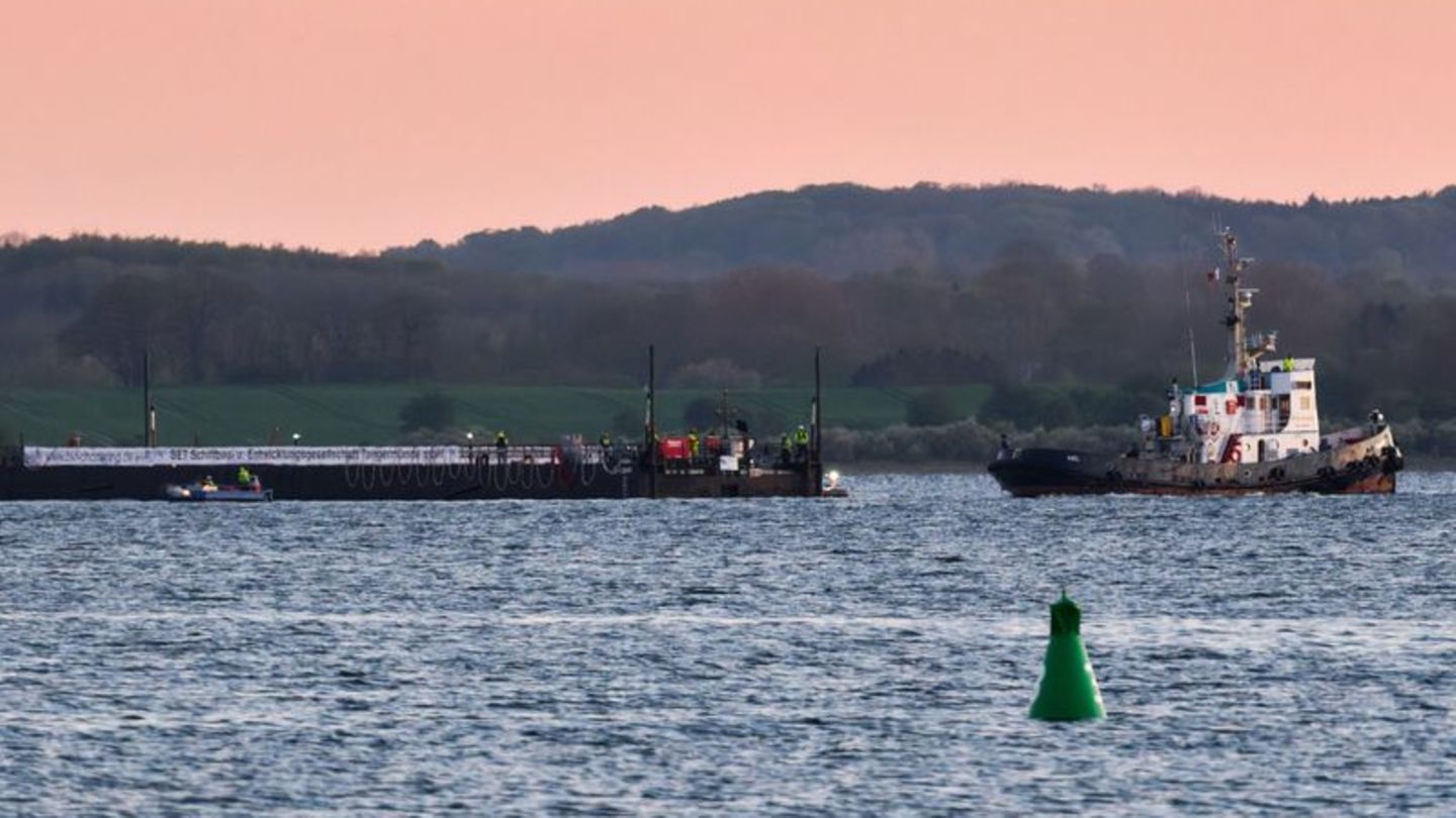 Mit dem Wal in der Barge nahm der Schleppverband Kurs auf die Nordsee Foto: Marcus Golejewski/dpa
