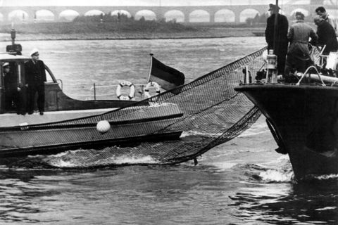 Die Wasserpolizei versucht einen Wal zu fangen