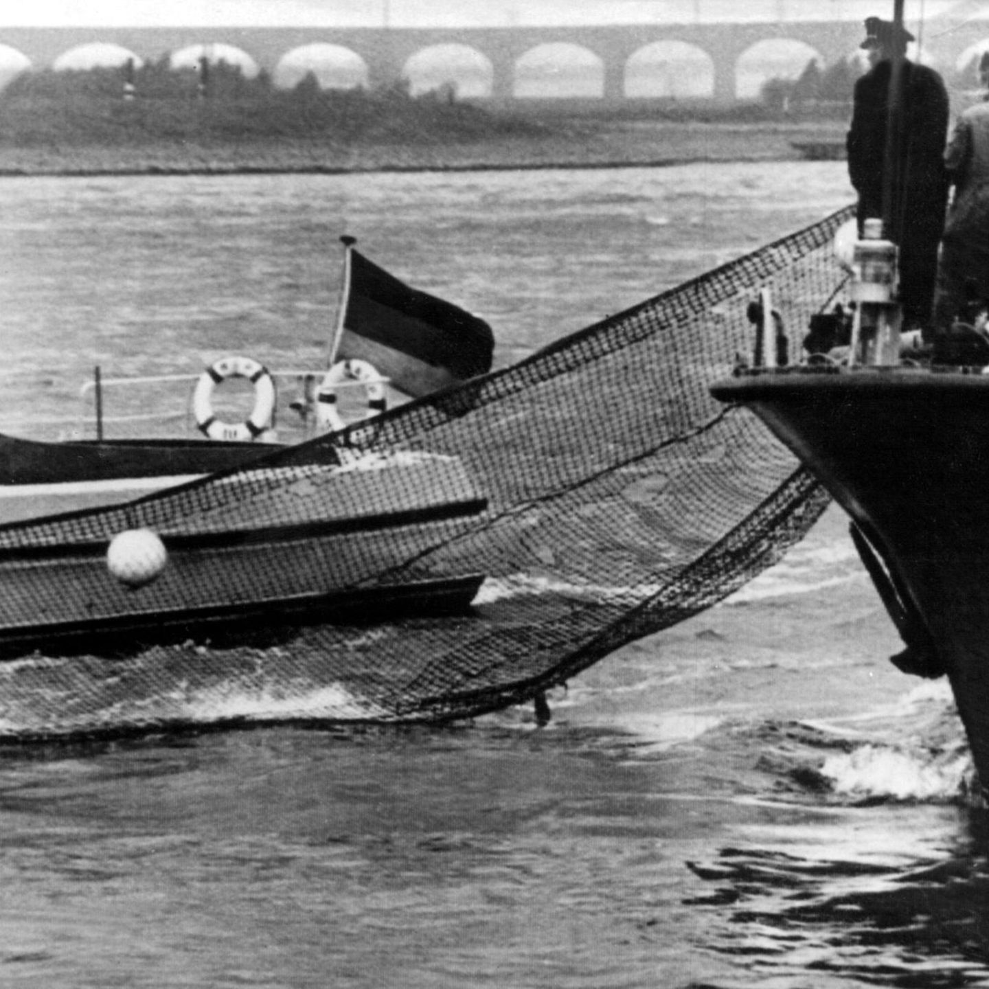 Die Wasserpolizei versucht einen Wal zu fangen