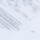 Eine Eisbärenmutter zieht mit ihrem Jungtier auf Spitzbergen an einem abschüssigen Hang entlang. Um das Foto richtig zu würdigen, muss man wissen, dass der Fotograf – in Übereinstimmung mit Vorschriften zum Schutz der Tiere – in einem halben Kilometer Entfernung auf dem Deck eines Eisbrechers stand.