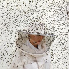 Insektenprotein gewinnt als nachhaltige Alternative zu herkömmlichen Quellen wie Fischmehl und Soja rasch an Bedeutung. Es wird hauptsächlich aus Larven der Schwarzen Soldatenfliege gewonnen (im Bild: eine Zucht in Frankreich) – und bietet großes Potenzial für den Einsatz in der Tierernährung. Globale Marktprognosen schätzen, dass sein Wert bis 2027 3,3 Milliarden US-Dollar erreichen könnte.