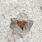 Insektenprotein gewinnt als nachhaltige Alternative zu herkömmlichen Quellen wie Fischmehl und Soja rasch an Bedeutung. Es wird hauptsächlich aus Larven der Schwarzen Soldatenfliege gewonnen (im Bild: eine Zucht in Frankreich) – und bietet großes Potenzial für den Einsatz in der Tierernährung. Globale Marktprognosen schätzen, dass sein Wert bis 2027 3,3 Milliarden US-Dollar erreichen könnte.