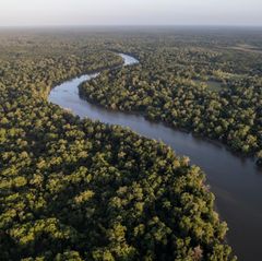 Amazonas-Regenwald in Brasilien