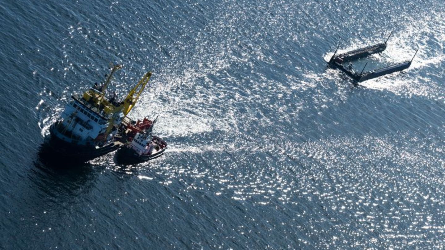 Der Schlepperverband mit dem Wal befindet sich mittlerweile vor Dänemark Foto: Philip Dulian/dpa