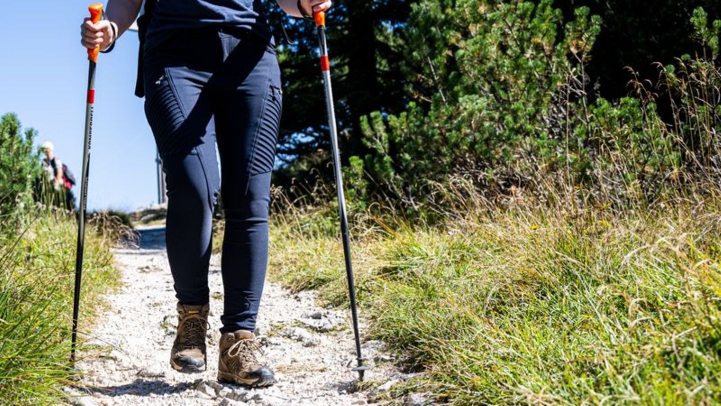 Wanderstöcke: mehr Halt, weniger Knie-Zoff. Wer oft in bergigem Gelände unterwegs ist, fährt mit verstellbaren Stöcken besser. F