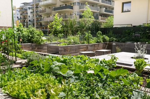 Urbaner Garten mitten in einer Stadt